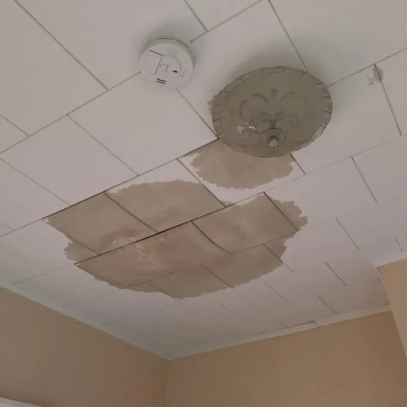 Ceiling Water Damage Repair in Lincoln County, SD