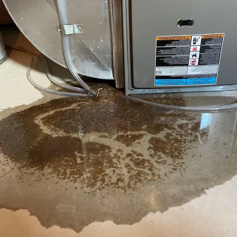 Pipe Burst and Leak Restoration in Lincoln County, SD