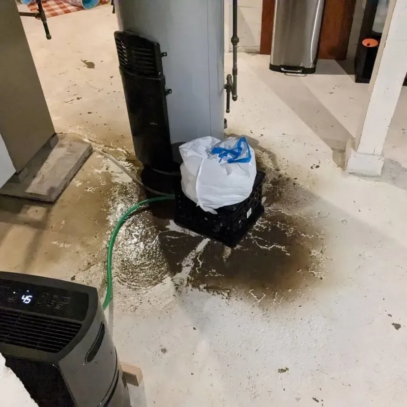 Sewage Backup Cleanup Service in Lincoln County, SD